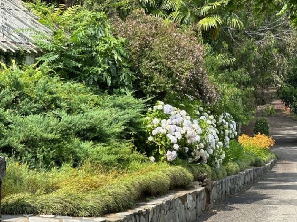Low natural stone retaining wall lining a landscaped garden bed